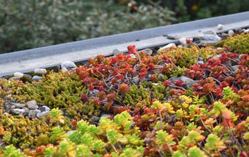 the cost of Blacknoll green roof installation
