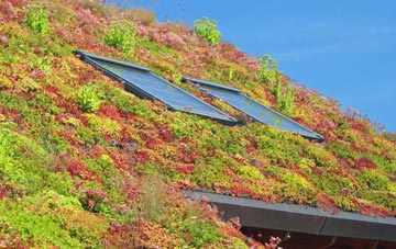 Blacknoll living roof systems