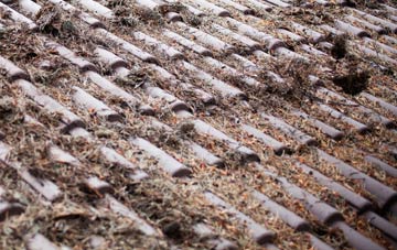 Blacknoll roof cleaning companies