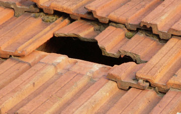 roof repair Blacknoll, Dorset